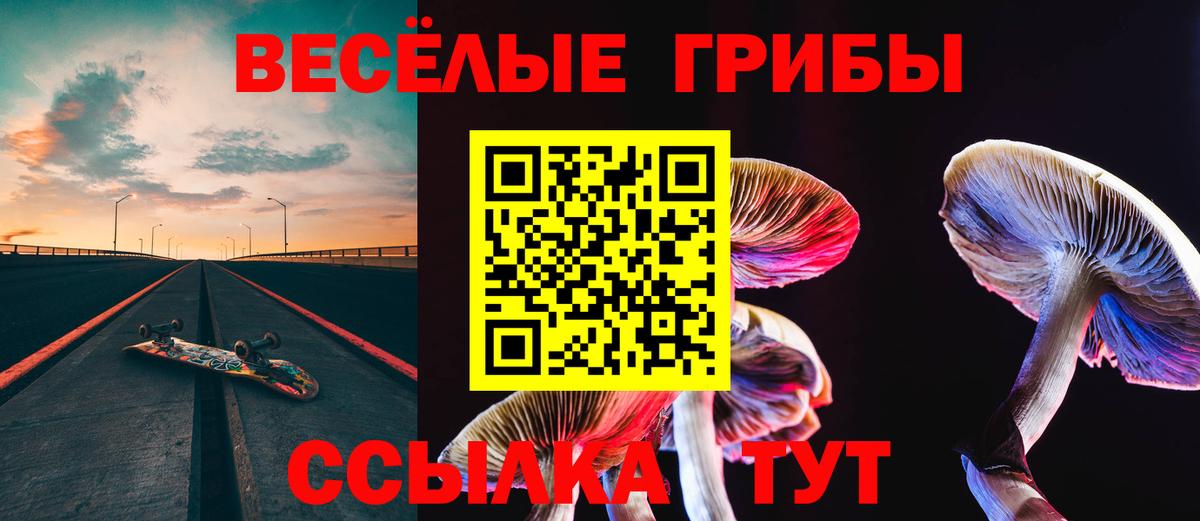 Псилоцибиновые грибы MAGIC MUSHROOMS Калининград