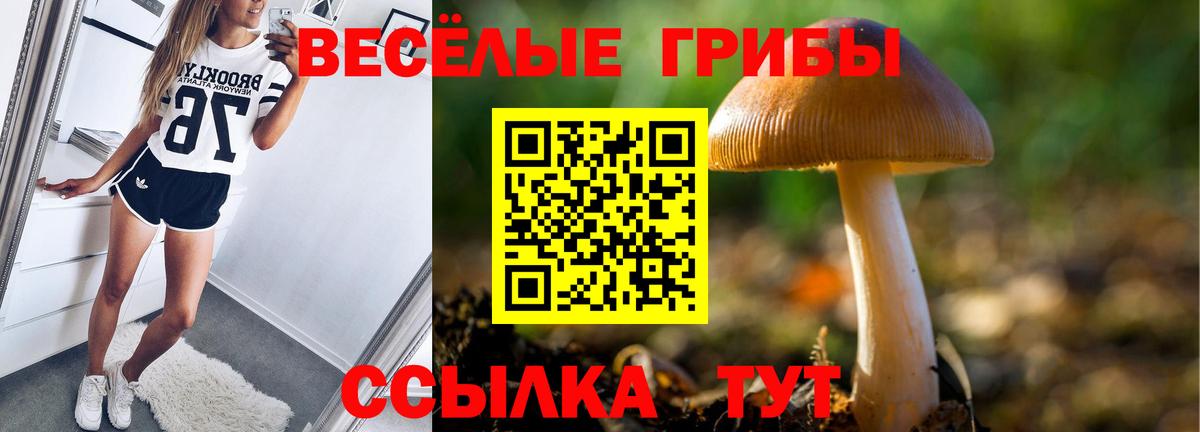 купить закладку  Галлюциногенные грибы мухоморы  Галлюциногенные грибы прущие грибы  Вход с VPN  Калининград 